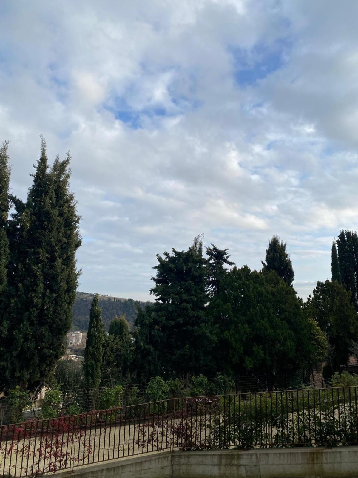 I Merli